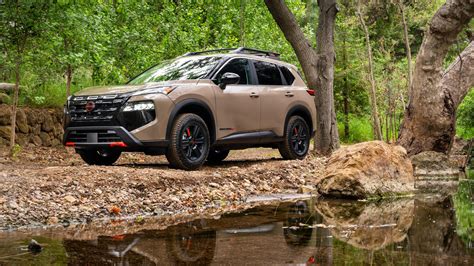 Gator Creek 2025 To𝚛rent