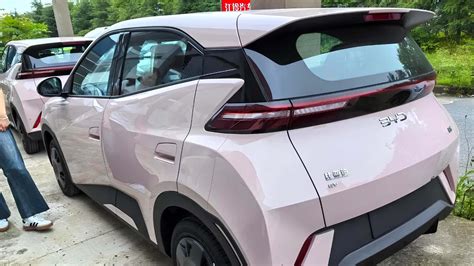 of the Golden Dolphin 2025